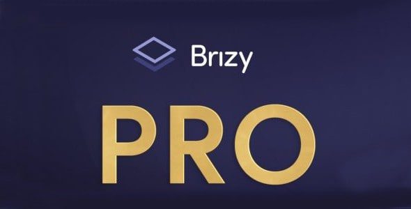 Brizy Pro 2.4.24 GPL