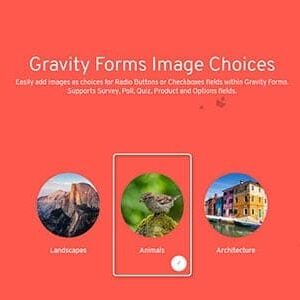 Gravity Forms Image Choices 1.4.2 GPL